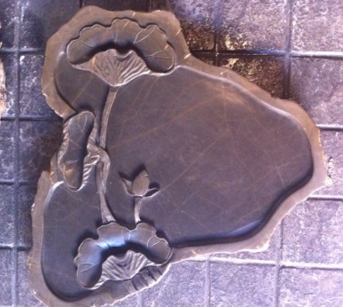 ���~���_(t��i)(ԭʯ��)